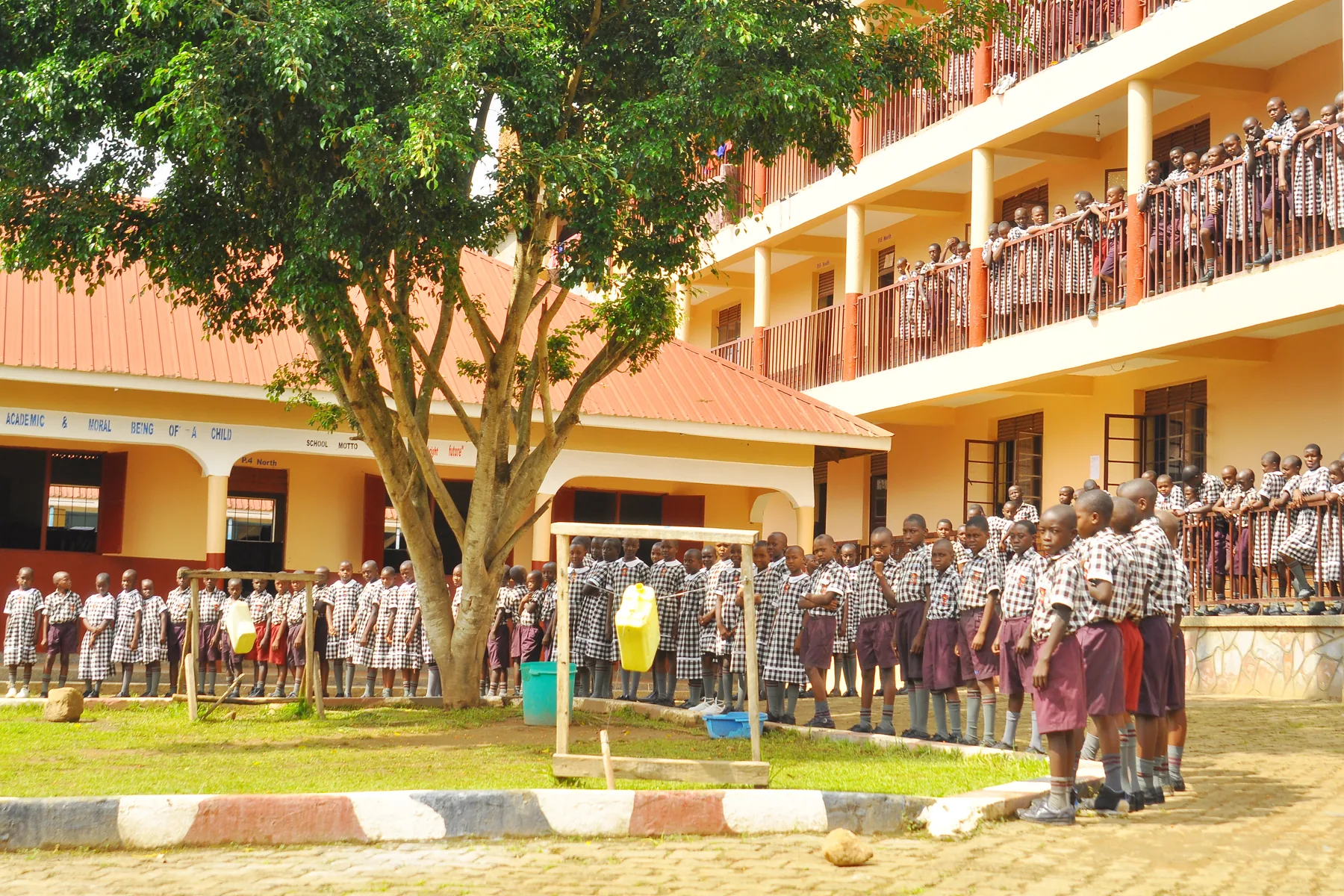 Pupils in their checked uniforms lined up under the courtyard tree