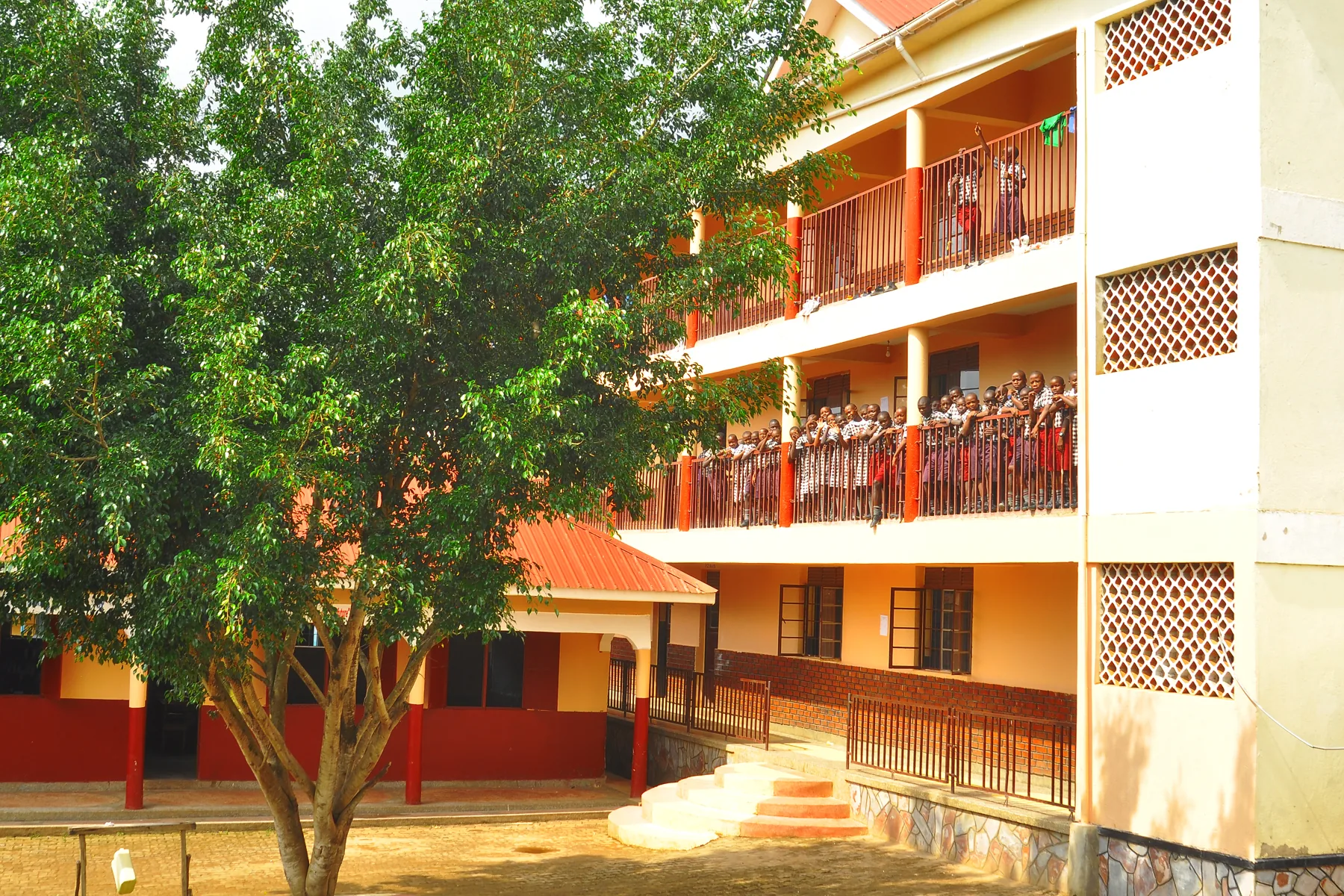 A shady tree beside the classroom block